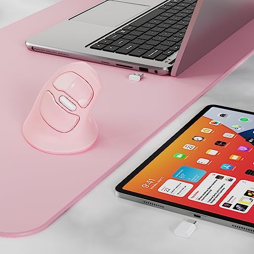 Mouse Micropack: MicroPack Ergonomic Mouse Vertical – Size Reference