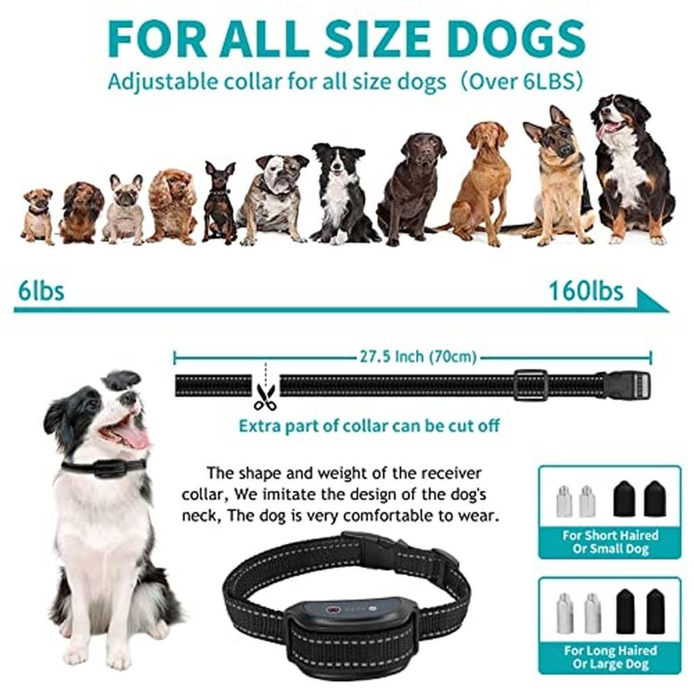 Dog Training Collar: Asrcs Remote Waterproof Dog Collar – Packaging