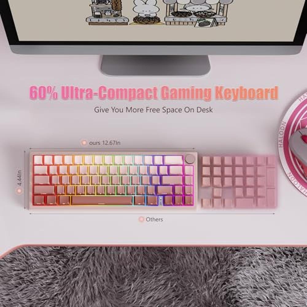 Risophy Keyboard: RisoPhy 60 Wireless Mechanical Keyboard – Packaging