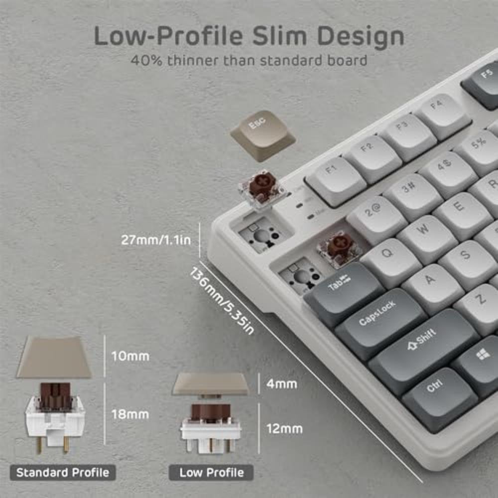 Mechanical Keyboard: RK ROYAL KLUDGE N80 Low Profile – Packaging