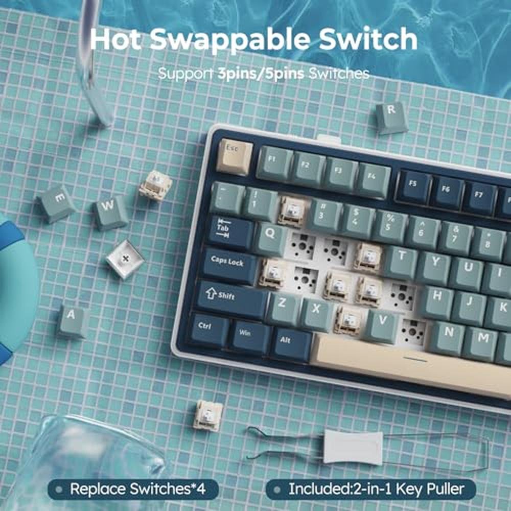Keyboard Royal: RK ROYAL KLUDGE R75 Wireless Mechanical – Packaging