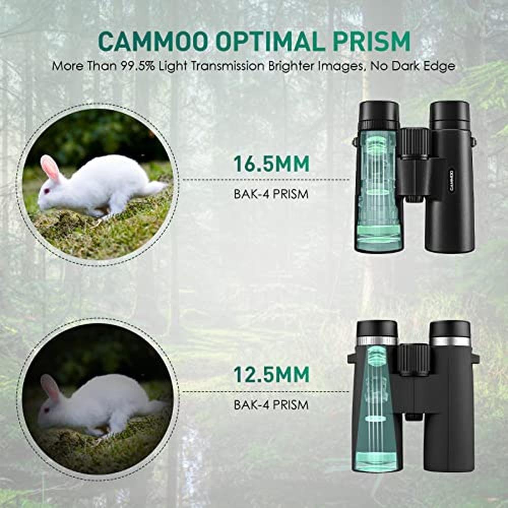 Binoculars 12x42: High-Powered Waterproof Binoculars for – In Use