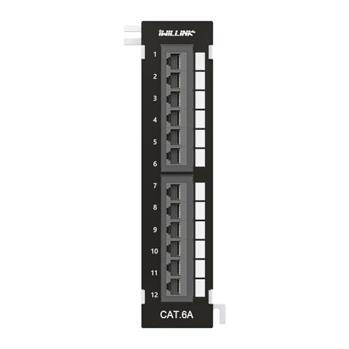 iwillink 12 Port 10Gbps Cat6A Network Patch Panel with Wall – Front View