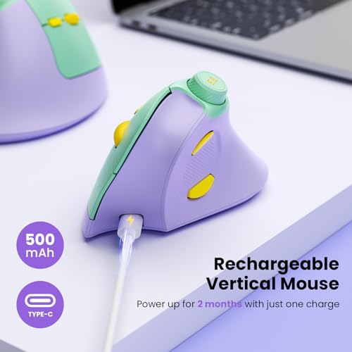 Seenda Ergonomic Mouse: Rechargeable USB Dual Bluetooth – Packaging