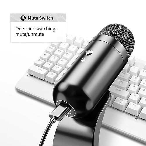 Liangstar USB Computer Microphone – In Use