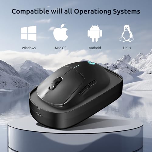 Mouse Infotop: INFOTOP Mouse Jiggler Undetectable Mouse – Side View