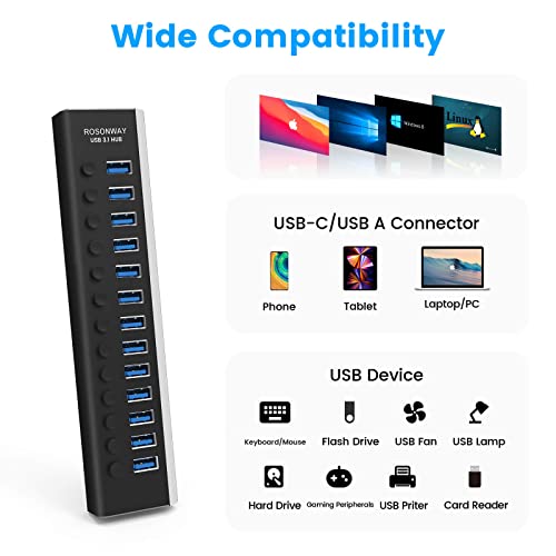 Powered USB Hub: Rosonway Aluminum 13 Port USB 3.1/3.2 Gen – Packaging