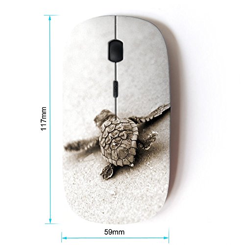 Koolmouse Optical: KOOLmouse 2.4G Wireless Mouse Turtle – Side View