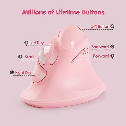 Mouse Micropack: MicroPack Ergonomic Mouse Vertical – Packaging