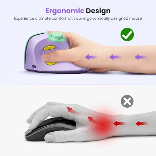 Seenda Ergonomic Mouse: Rechargeable USB Dual Bluetooth – Close-up Detail