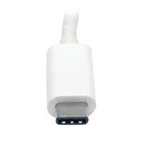 Tripp Lite USB C to DVI Video Adapter Converter 1080p, M/F, Thunderbolt 3 Compatible, USB-C, USB Type-C, USB Type C 6in (U444-06N-DVI-AM)