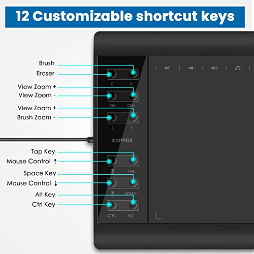 XOPPOX Graphics Drawing Tablet – Feature Highlight