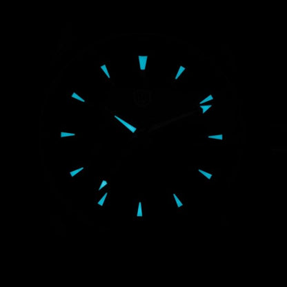 Watchdives VH31 Quartz Watch: Watchdives WD0006 38mm Domed – Packaging