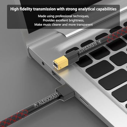 Tertullus HiFi USB 2.0 Cable A to B – In Use