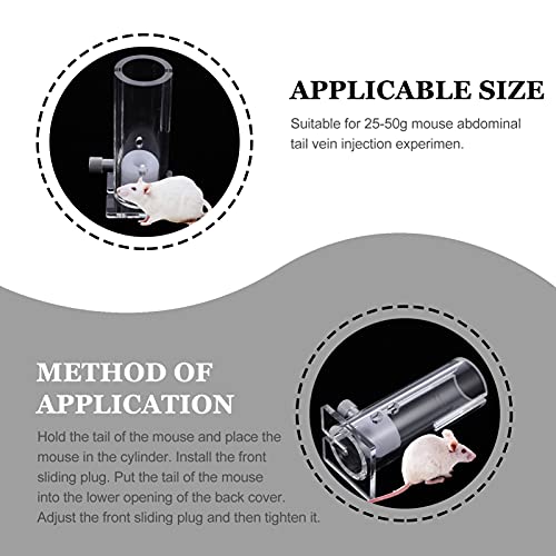 Mouse Restrainer: Scicalife Acrylic Transparent 4.97 inches – In Use