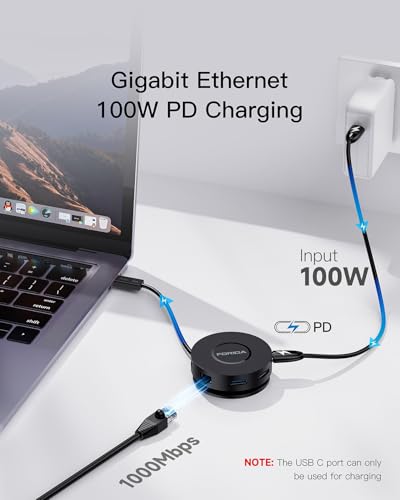 Docking Station: FORIDA Mini USB C Docking Station Dual – In Use
