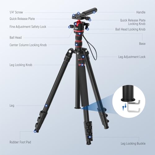 NEEWER 77" Camera Tripod Monopod with 360 – Size Reference