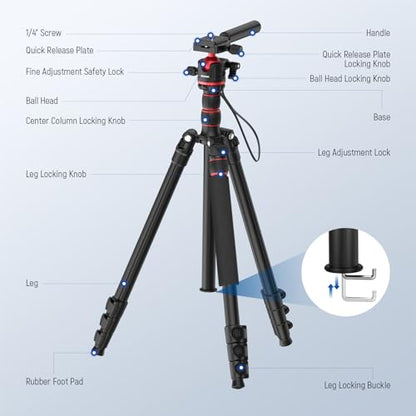 NEEWER 77" Camera Tripod Monopod with 360 – Size Reference