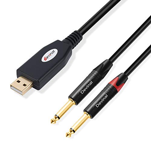 Devinal Dual: Devinal USB to Dual 1/4 Stereo Audio Cable – Front View