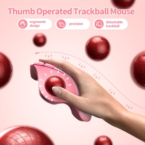 Mouse Bluetooth: Seenda Wireless Trackball Ergonomic – Side View