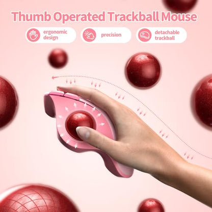 Mouse Bluetooth: Seenda Wireless Trackball Ergonomic – Side View
