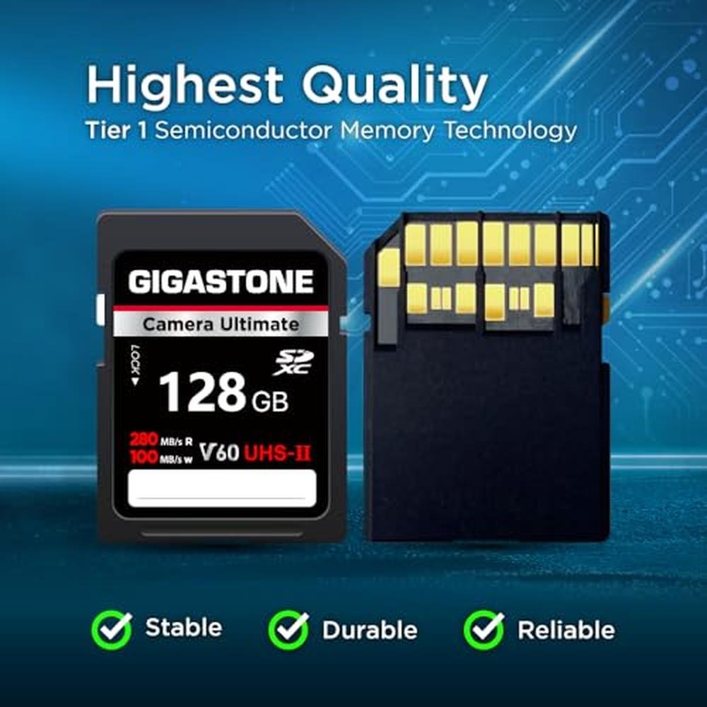 5 Years Data Recovery: GIGASTONE 128GB SD Card 2-Pack – In Use