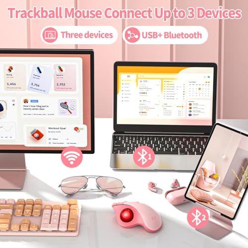 Mouse Bluetooth: Seenda Wireless Trackball Ergonomic – In Use
