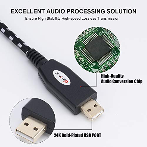 XLR Audio: Devinal USB to Dual XLR Male Output Cord – In Use