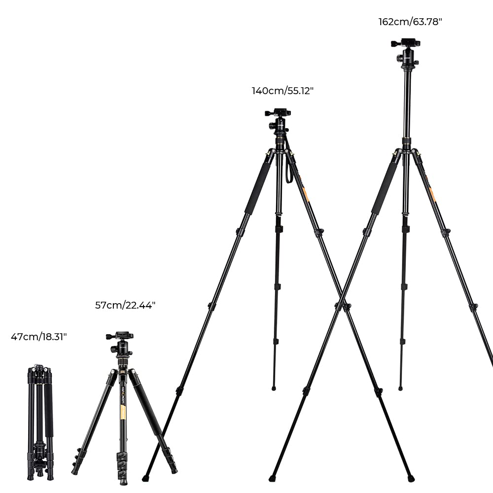 K&F Concept 62'' DSLR Tripod, Lightweight and Compact Aluminum Camera Tripod with 360 Panorama Ball Head Quick Release Plate for Travel and Work (TM2324 Black)