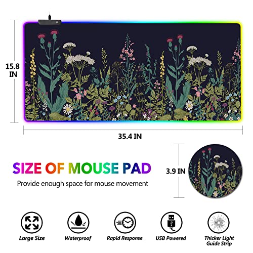 RGB Gaming Mouse Pad: AIMSA Large Extended Mousepad – Feature Highlight