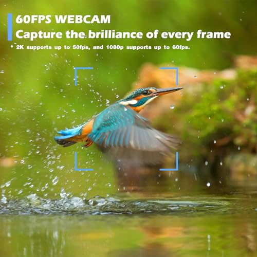 Svcouok W4 Autofocus Webcam: Compatible with Switch 2/ PC – In Use