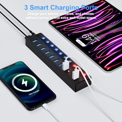 Hub Port: ONFINIO Powered USB Hub 10-Port USB Splitter – In Use