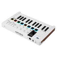 Arturia Minilab MKII 25 Slim-Key Controller Keyboard + Deluxe Sustain Pedal and USB Cable Bundle from Liquid Audio