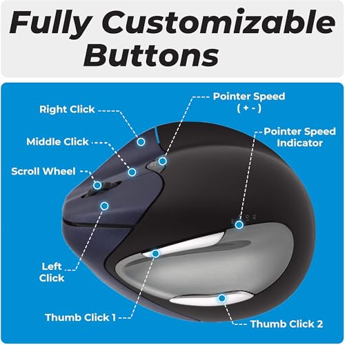 Mouse Vertical: Evoluent VM4RW Wireless Ergonomic Mouse – Back View