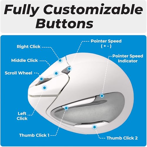 Ergonomic Mouse: Evoluent VerticalMouse VM4RB White Regular – Packaging