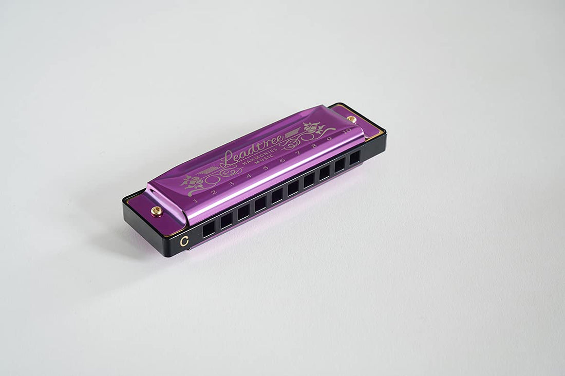 Leadtree Harmonica Key of C, Diatonic Blues Harmonica Harp Mouth Organ Harmonica 10 Holes 20 Tones, Standard Harmonica For Adults,Beginners and Students (Purple)