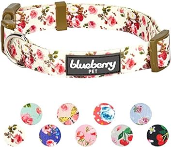 Regular Collar - Small, Ivory: Blueberry Pet New Spring Scent Inspired Pink Rose Print Ivory Dog Collar, Small, Neck 30cm-40cm, Adjustable Collars for Dogs, Matching Lead & Harness Available Separately