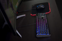 Cooler Master CK552 Wired Gaming Mechanical Keyboard W/Gateron Red Switch with RGB Back Lighting Full (Pure Black)