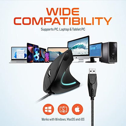 Delton S12: Ergonomic Vertical Wired Mouse – Size Reference