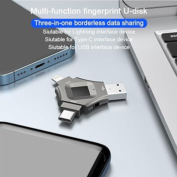 DINGBAI 512GB, Fingerprint Unlocked Flash Drive, Secure Password Protected USB Flash Drive, USB Memory Stick, USB Finger Disk with Type-c Interface for Android/iPhone/iPad/iPadmini/PC