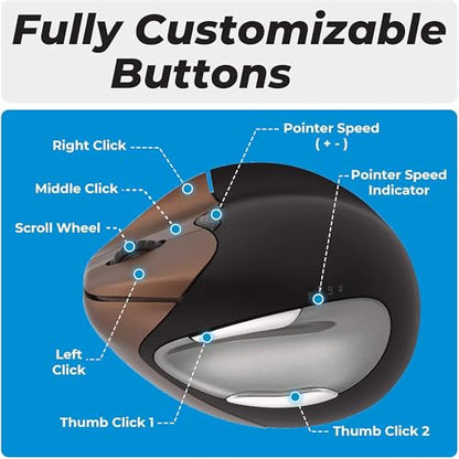 Vertical Mouse: Evoluent VM4SW Right-Hand Ergonomic Mouse – Back View