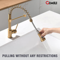 Gimili Single Handle Kitchen Sink Faucet with Pull Down Sprayer Stainless Steel Spring kitchen faucet Brushed Gold