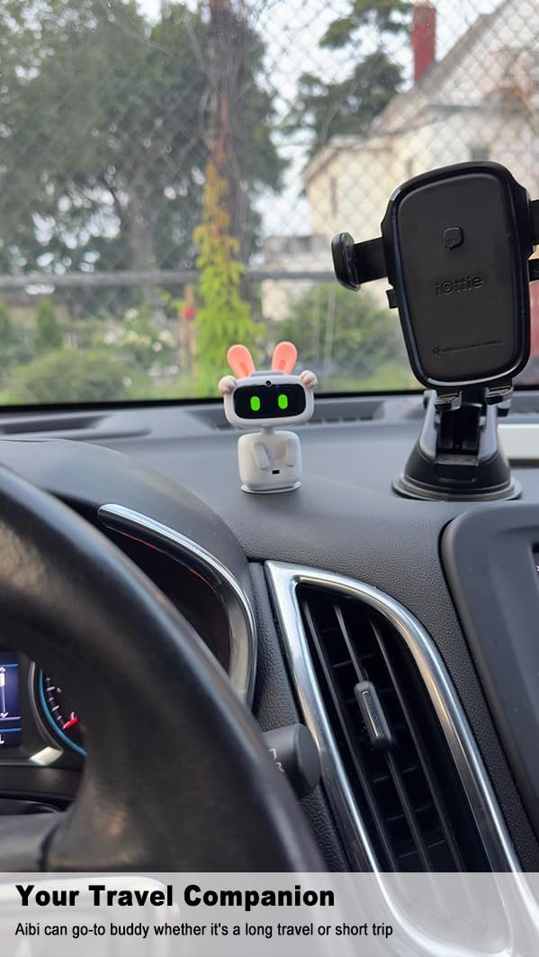 Aibi Pocket Pet: Wearable Robot – Packaging