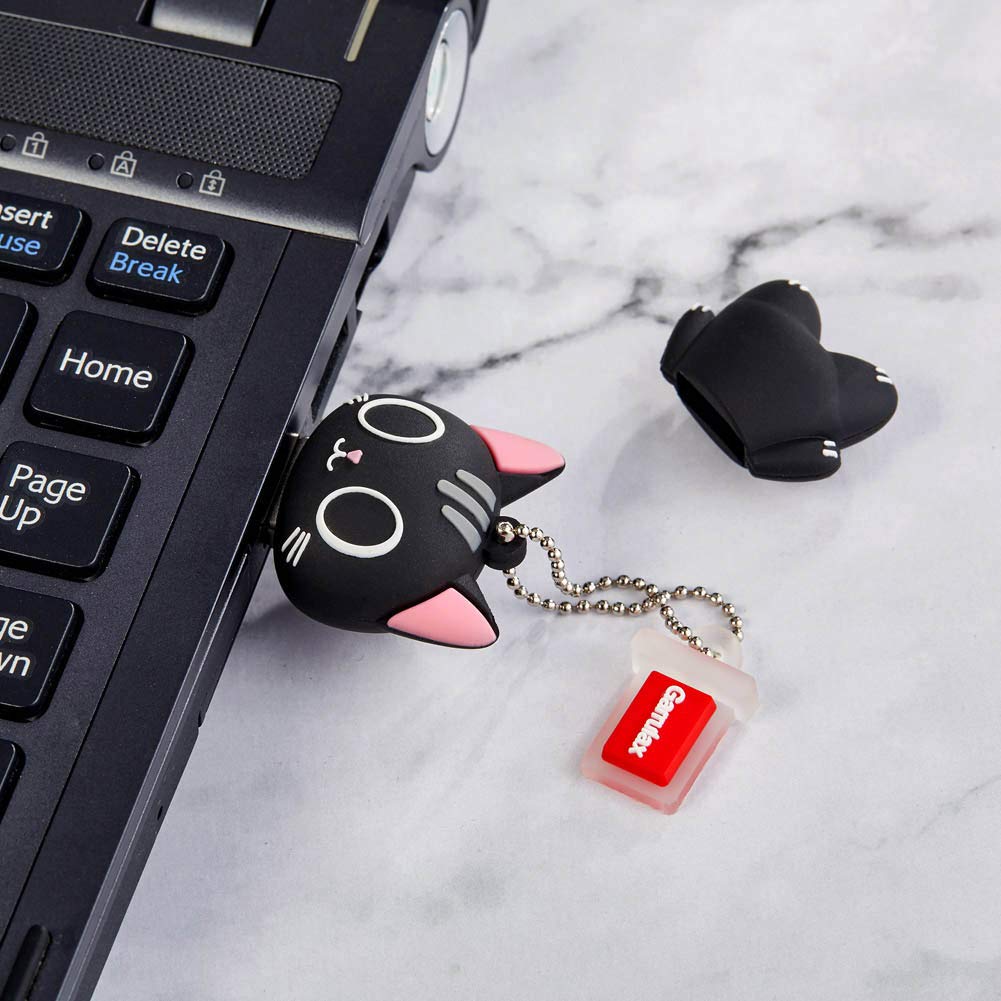 GARRULAX USB Flash Drive, 8GB / 16GB / 32GB / 64GB USB2.0 Cute Shape USB Memory Stick Date Storage Pendrive Thumb Drives Gift(64GB,Big Eye Cat)