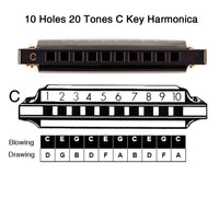 EastRock Blues Harmonica Mouth Organ 10 Hole C Key with Case, Diatonic Harmonica for Professional Player, Beginner, Students gifts, Adult, Friends, Gift (Gold)
