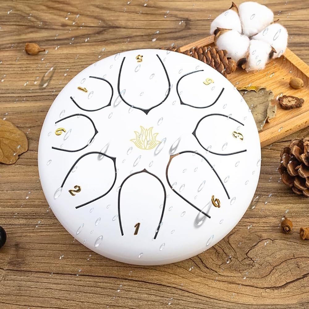 Musical Instruments  Drums & Percussion  Hand Drums  Steel Drums