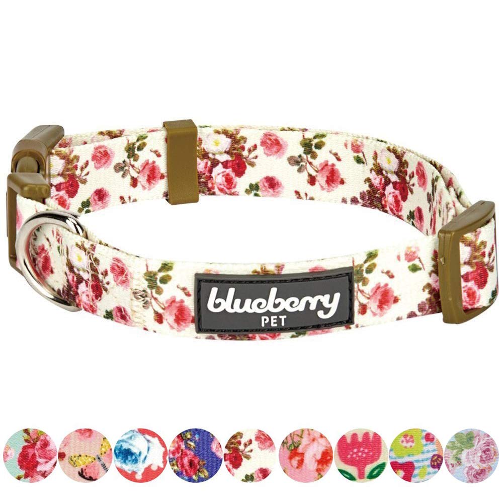 Regular Collar - Small, Ivory: Blueberry Pet New Spring Scent Inspired Pink Rose Print Ivory Dog Collar, Small, Neck 30cm-40cm, Adjustable Collars for Dogs, Matching Lead & Harness Available Separately