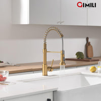 Gimili Single Handle Kitchen Sink Faucet with Pull Down Sprayer Stainless Steel Spring kitchen faucet Brushed Gold