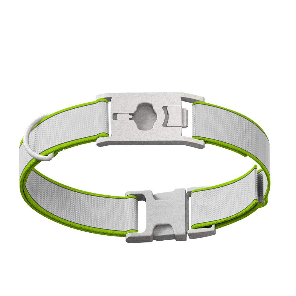 Whistle GO/GO Explore/Twist & Go Pet Collars -L