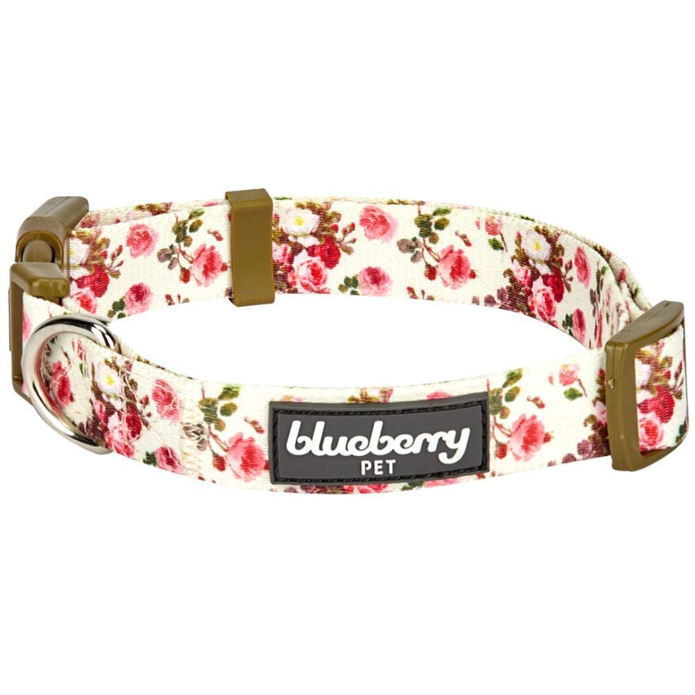 Regular Collar - Small, Ivory: Blueberry Pet New Spring Scent Inspired Pink Rose Print Ivory Dog Collar, Small, Neck 30cm-40cm, Adjustable Collars for Dogs, Matching Lead & Harness Available Separately